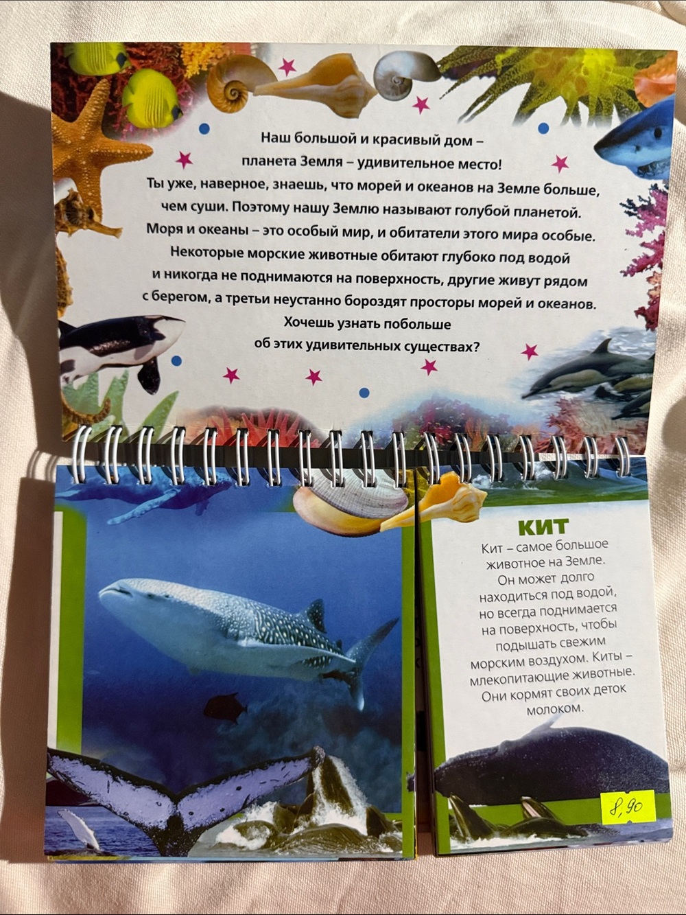 Кто в море живёт» из серии «Моя первая энциклопедия» - Picture 2 of 4